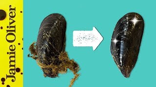 How To Prepare Mussels  1 Minute Tips  Bart’s Fish Tales [upl. by Zuliram]