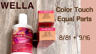 HOW TO USE WELLA COLOR TOUCH  SHADES 881  916 Blending GreyBlonde Hair SEMI PERMANENT COLOUR [upl. by Nailliw]