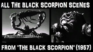 All the Black Scorpion Scenes From quotTHE BLACK SCORPIONquot 1957 [upl. by Adnhoj685]