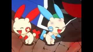 Plusle amp Minuns Sun [upl. by Ateuqahs842]