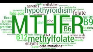 Mthfr gene mutation homozygous c677t treatment supplement pregnancy prenatal [upl. by Aekim249]