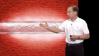 Robert S Langer MIT Part 1 Advances in Controlled Drug Release Technology An Overview [upl. by Douglas]