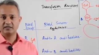 Blood Typing and Agglutination Reactions [upl. by Hadnama]