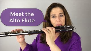 Meet the Alto Flute [upl. by Whitby]