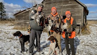 Pheasant Hunting on North Dakotas Mallard Island  The Flush Season 11 Episode 6 [upl. by Hsirap743]