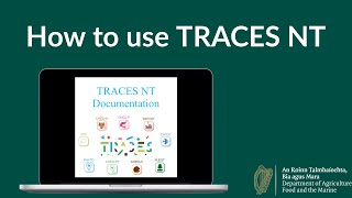 How to use TRACES  the EU trade portal watch our Brexit expert show traders how to use TRACES NT [upl. by Aeel]