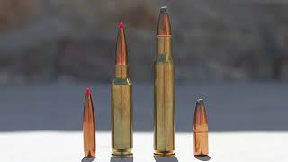 65 Creedmoor vs 3006 Springfield A Detailed Comparison amp Analysis For Hunters [upl. by Avalsorim524]