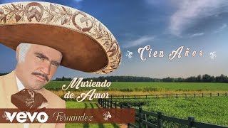 Vicente Fernández  Cien Años Cover Audio [upl. by Colleen]