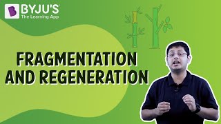 Fragmentation And Regeneration  Class 7  Learn With BYJUS [upl. by Anuahsal217]