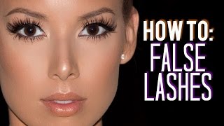 How I Customize Trim amp Apply False Lashes  LustreLux [upl. by Markowitz]