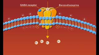 Benzodiazepines animation sedatives and hypnotics [upl. by Inahpit]