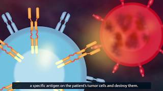 T Cell Types and Their Functions [upl. by Delphinia5]