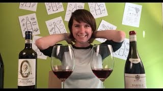 Two Nebbiolo Wines  Barolo vs Roero Riserva [upl. by Suzanne875]