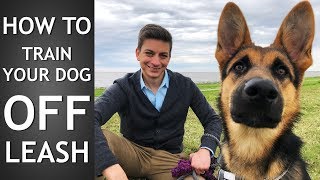 Off Leash Training How to Train Your Dog To Listen Off Leash [upl. by Odlabu]