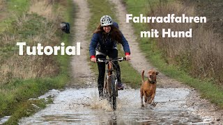 Fahrradfahren mit Hund  Tutorial [upl. by Anner530]