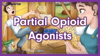 Partial Opioid Agonists Mnemonic for USMLE [upl. by Ellehcal267]