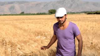 Majid Almohandis  Ben Ghlai  ماجد المهندس  بين غلاي [upl. by Millisent]