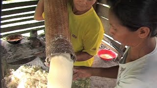 Making Cassareep in Guyana [upl. by Ahseele615]