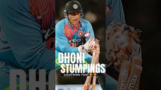 dhoni hai out to out [upl. by Dorrej471]