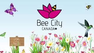 UCalgary Bee Campus Profile [upl. by Anerual]