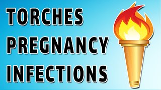 Torches Infections and Pregnancy [upl. by Hardej]