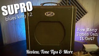 Supro Blues King 12 Review Tone Tips amp More [upl. by Airamana]