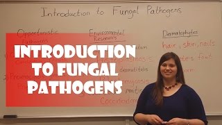 Introduction to Fungal Pathogens [upl. by Ahsilak374]