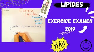 📣5 Les Lipides  EXERCICE EXAMEN 2019 اقوى شرح لللبيدات😍 BIOCHIMIE​​ SNV​ triglycerides [upl. by Gunthar]