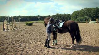 Reiten lernen  So lernst Du reiten [upl. by Naihr]