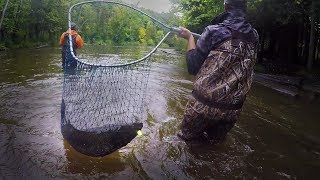 Michigan River Salmon Fishing with Spinners  THEY BITE [upl. by Geis444]