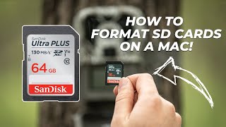 How to Format SD Cards on a Mac [upl. by Emoraj]