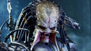 The Entire Predator Story Finally Explained [upl. by Forrester387]