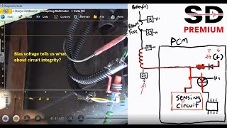 An SD Premium lesson on Bias Voltage [upl. by Maidel444]