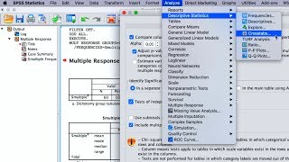 SPSS How To Perform Quantitative Data Analyses For Bachelors Research 5 Basic Analysis Methods [upl. by Mars]