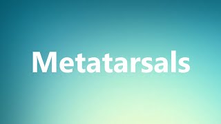 Metatarsals  Medical Definition and Pronunciation [upl. by Bianca693]