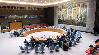 Linkage of Counterterrorism and transnational organized crime  Security Council 6 August 2020 [upl. by Anceline980]