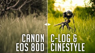 Make Your Canon Videos More Cinematic Canon eos 80D [upl. by Aland]