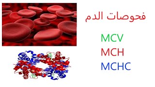 فحوصات الدم MCV MCH MCHC [upl. by Siocnarf]