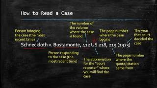 Understanding Case Citations [upl. by Drue]