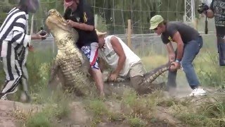 Gatorfest 2009 Alligator Wrestling Competition Highlights [upl. by Rebmyt]