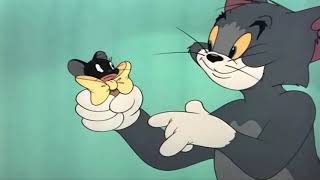 Tom And Jerry  Casanova Cat 1951  Part 1 [upl. by Yaron]