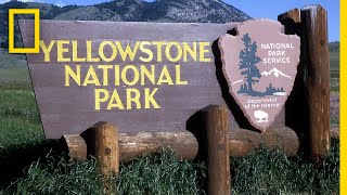 A Brief History of Yellowstone National Park  National Geographic [upl. by Couq]