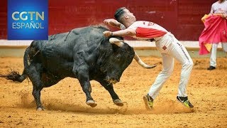 Toreros y toros cuerpo a cuerpo [upl. by Aneeres]