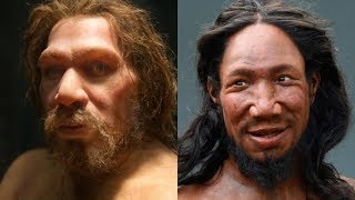 The Differences Between Neanderthals and Humans [upl. by Omura]