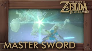 Zelda Breath of the Wild  Master Sword Location How to Get Master Sword [upl. by Waugh]