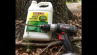 Tree DrillKill 1oz Undiluted Glyphosate [upl. by Wilt]