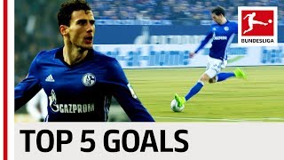 Leon Goretzka  Top 5 Goals [upl. by Kcirttap]