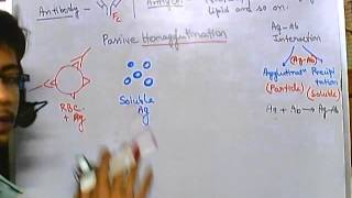 Hemagglutination assay [upl. by Annibo]