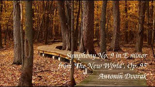 New World Symphony 2nd movement  Largo  Antonin Dvorak [upl. by Gilburt]