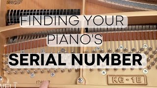 Where to Find a Piano Serial Number In Just a few steps [upl. by Atilrak]